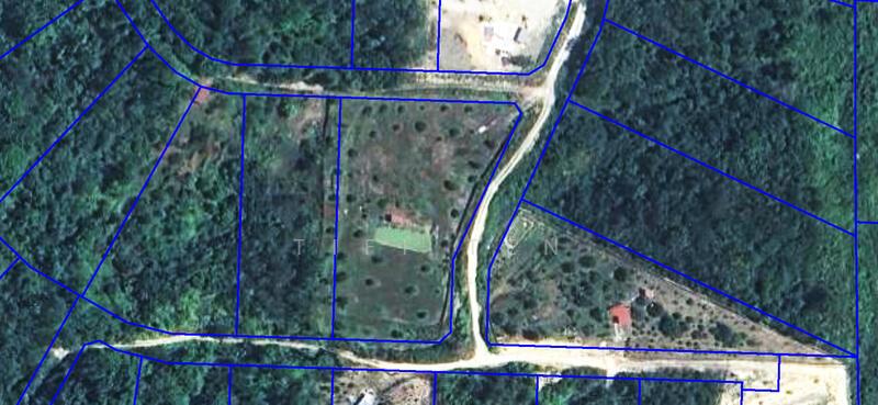 Agriculture Land Matured Durian Tree Fruit tree at Jelebu Pantai Sikamat Seremban - 1