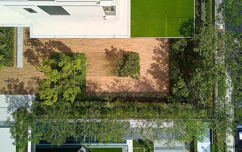 The Maple Residences - 5