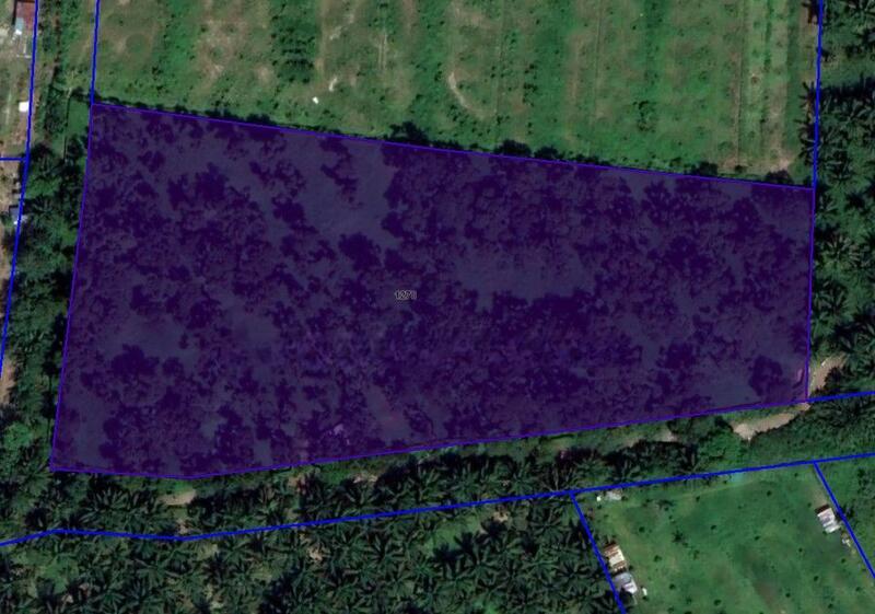 Agricultural Land at Tmn Perindustrian Pekan Nenas 1 - 2