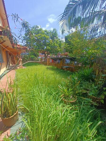 Seri Orkid Seris Orkids - 1