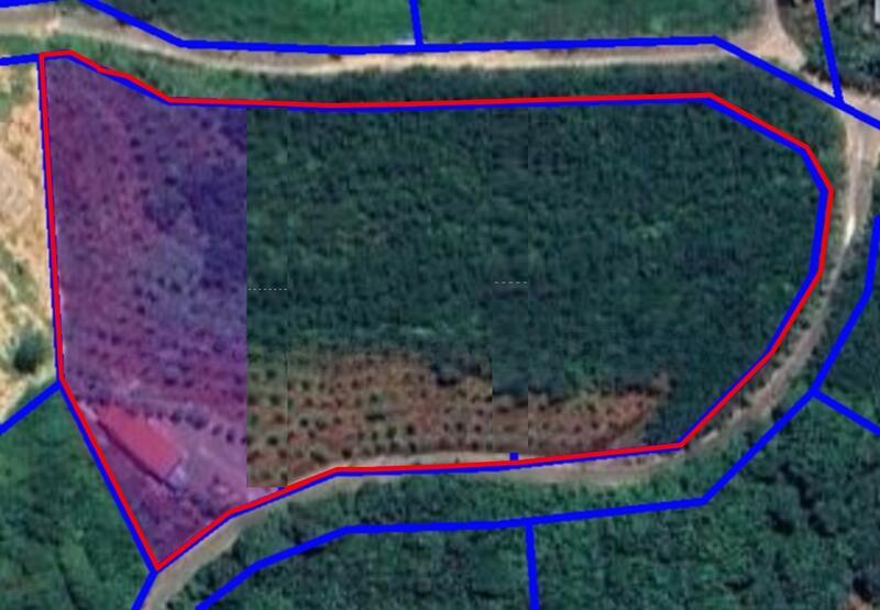 Sandalwood Farm, 3.05 ac, Jalan Kundur Hilir, Kampung Kundur Hilir, 71400 Pedas, Negeri Sembilan - 5