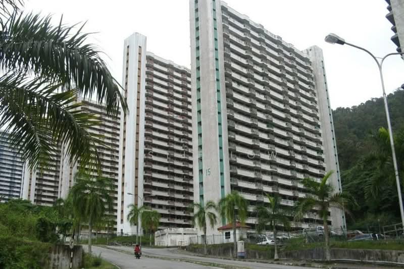 Taman Paya Terubong - 4
