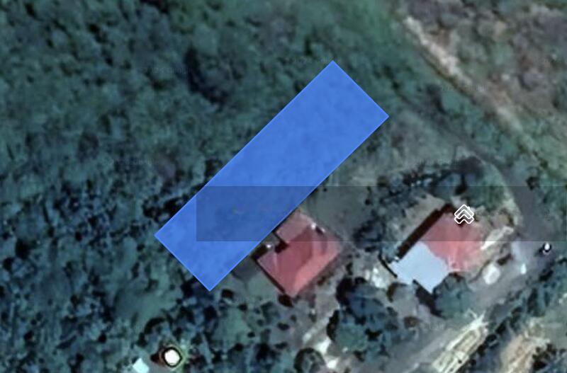 Pulau Tawar Jerantut - 1