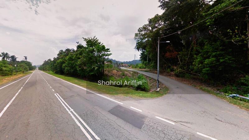 Pulau Tawar Jerantut - 2