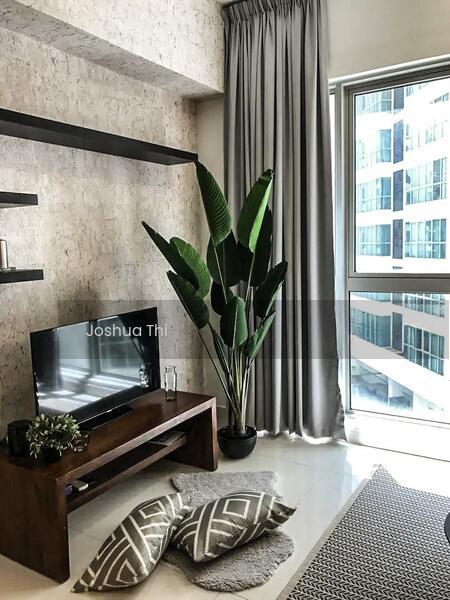 Colony by Infinitum - 1