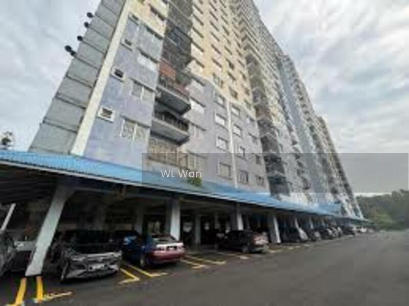 Desaminium Rimba - 3