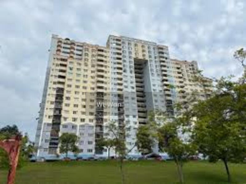 Desaminium Rimba - 2