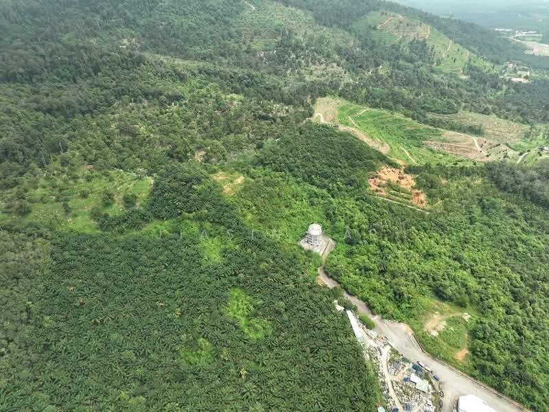 Industrial Freehold Land 19.037 acre For SALE @ Bukit Mertajam - 3
