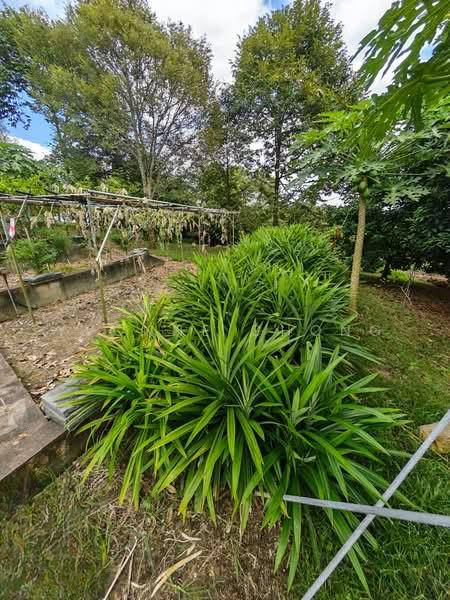 Leisure Farm - 5