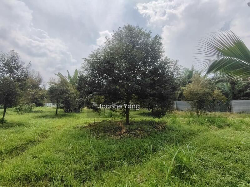 2.87 Acres Agriculture Durian Farm Land @ Simpang Renggam Johor - 1