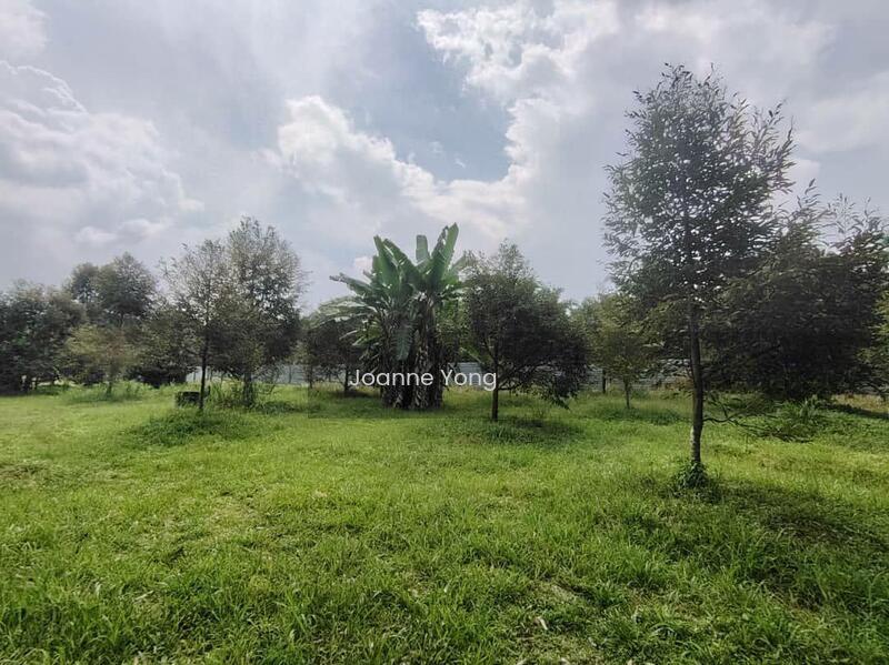 2.87 Acres Agriculture Durian Farm Land @ Simpang Renggam Johor - 3