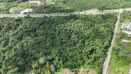 Agricultural Land @ FAC Matang 1st Lot Facing Main Road - 4