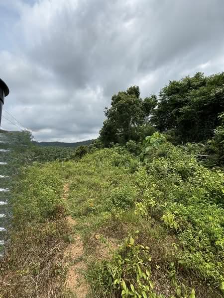 Exevalley Orchard Park, Linggi, Pedas - 4