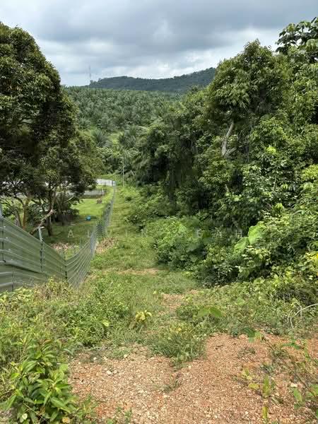 Exevalley Orchard Park, Linggi, Pedas - 5