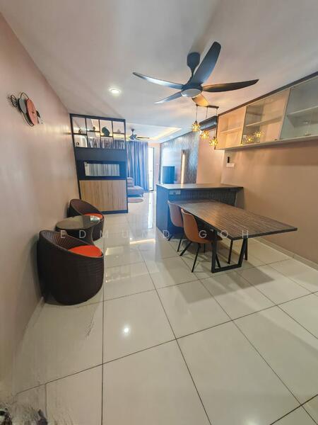 Zeva @ Equine South - 3