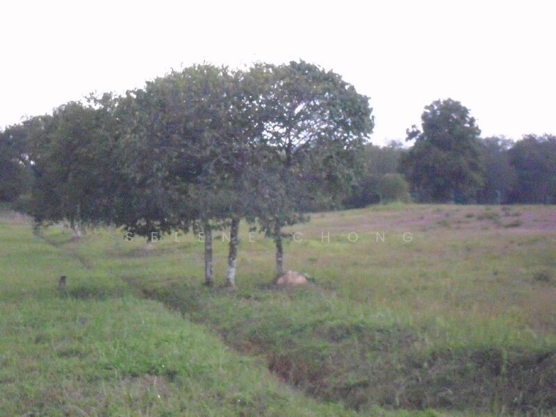 Bungalow Land at College Heights Garden Resort - 2