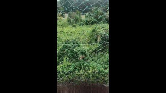 21,294 sq ft, Residential Land for Sale – Taman Mutiara, Nilai Address: Jalan Murni 1, - 3