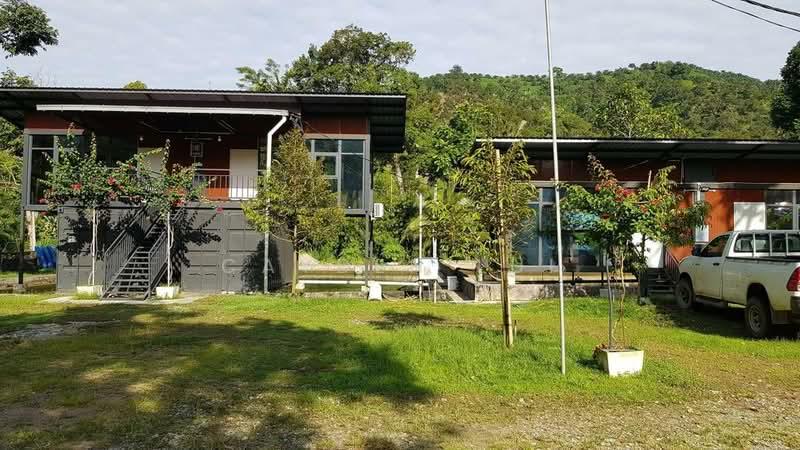 Pahang Durian Investment Farm - 2