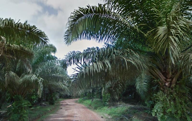 Palm Oil Land, 5498 ac, Ulu Sungai Endau Mersing, 86900 Kahang, Johor - 5