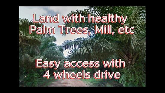 Palm Oil Land, 5498 ac, Ulu Sungai Endau Mersing, 86900 Kahang, Johor - 4