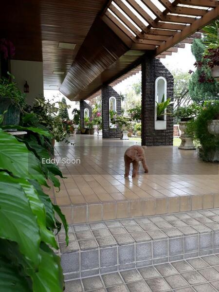 Bukit Pantai, Bangsar Bungalow - 3