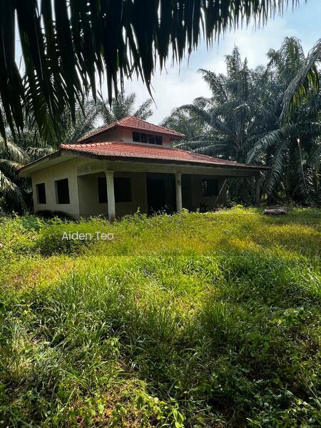 Lendu Land Freehold Beside Road - 5