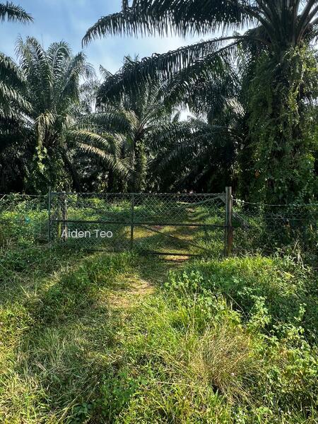 Lendu Land Freehold Beside Road - 2