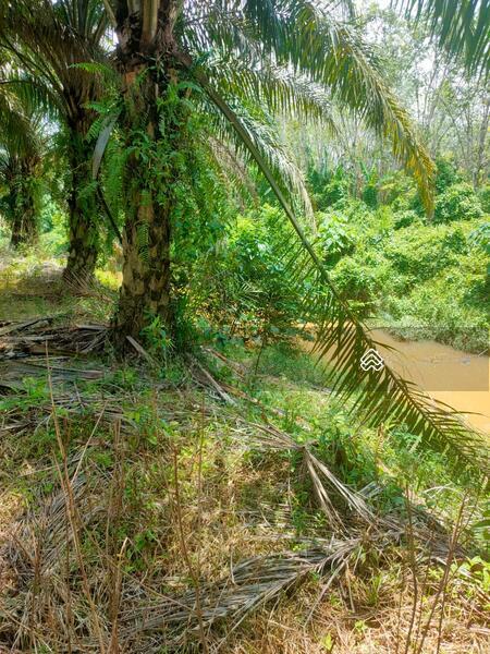 Agricultural Land 6.91 acres besides Main Road Karak Bentong Pahang - 2