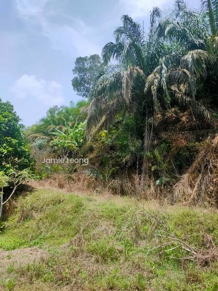 Agricultural Land 6.91 acres besides Main Road Karak Bentong Pahang - 1