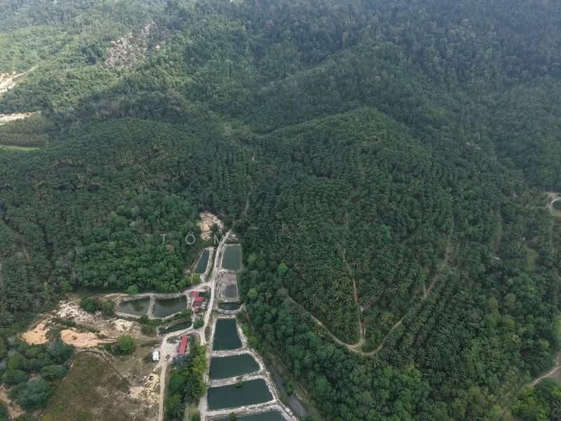 Kedah Kulim 25 Acre Freehold Residential Development Land For Sale - 4