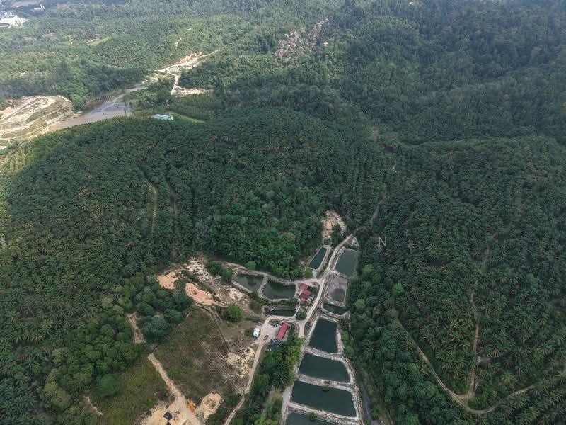 Kedah Kulim 25 Acre Freehold Residential Development Land For Sale - 2