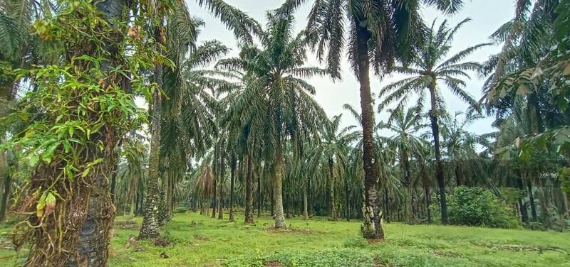 JALAN SEELONG JAYA 12 SENAI - 2