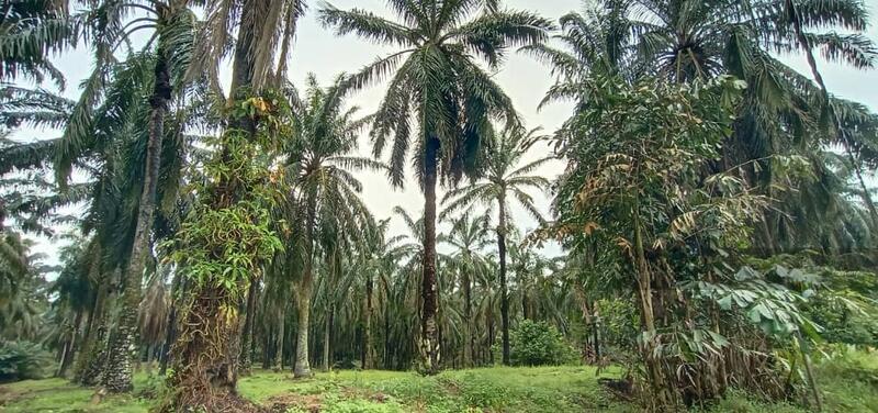 JALAN SEELONG JAYA 12 SENAI - 4