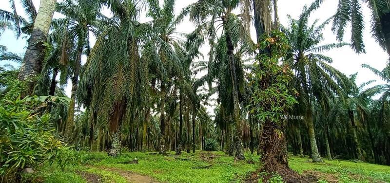 JALAN SEELONG JAYA 12 SENAI - 1