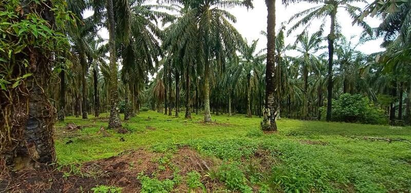 JALAN SEELONG JAYA 12 SENAI - 3