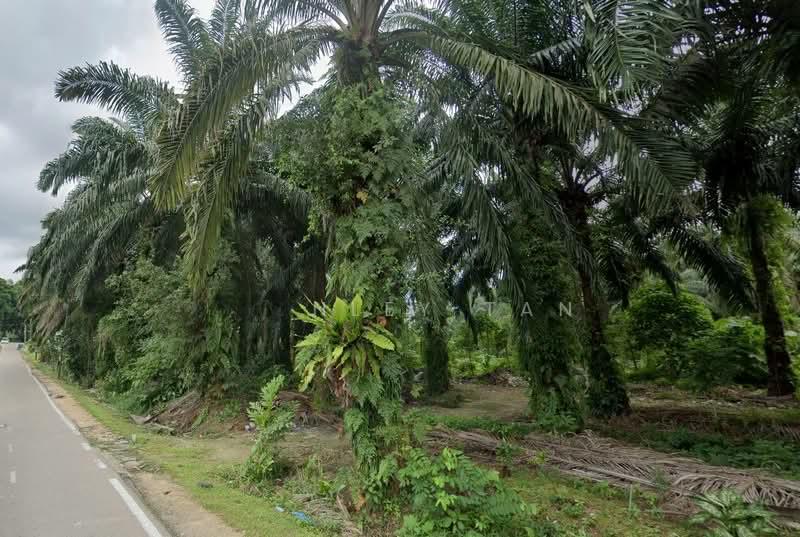 Permas City Commercial Land - 1