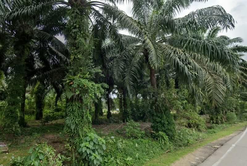 Permas City Commercial Land - 2