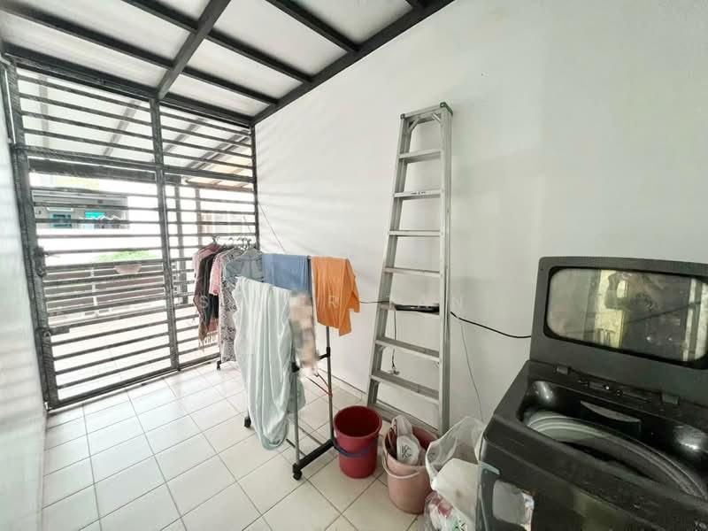 Dictyo Alba,Setia Tropika - 3