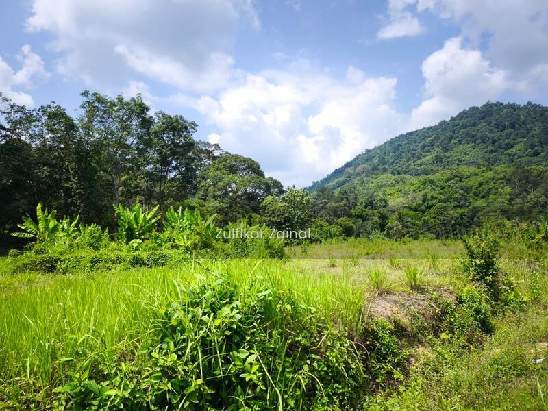 Sungai lui garden village - 4