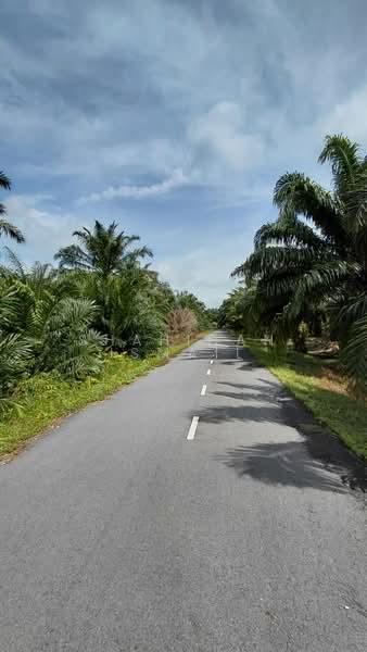 Kampung Seri Cheeding - 4