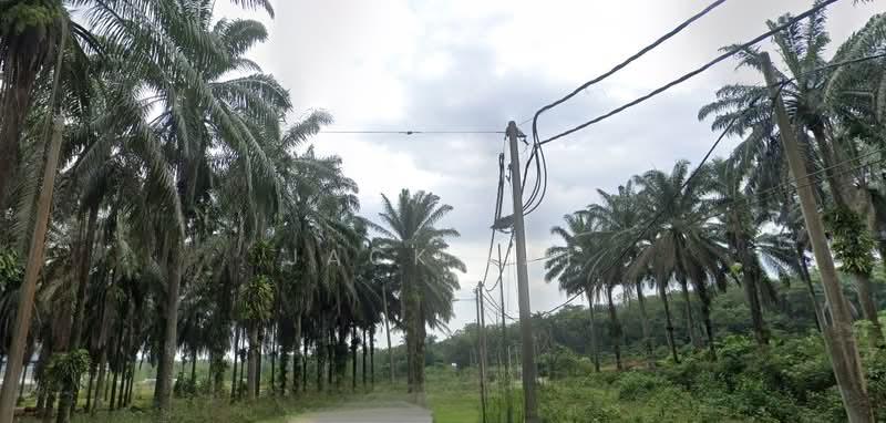 Rawang Land For Sale (can convert to industri land) - 5