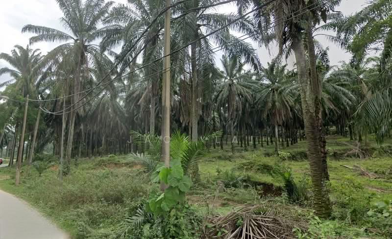 Rawang Land For Sale (can convert to industri land) - 4