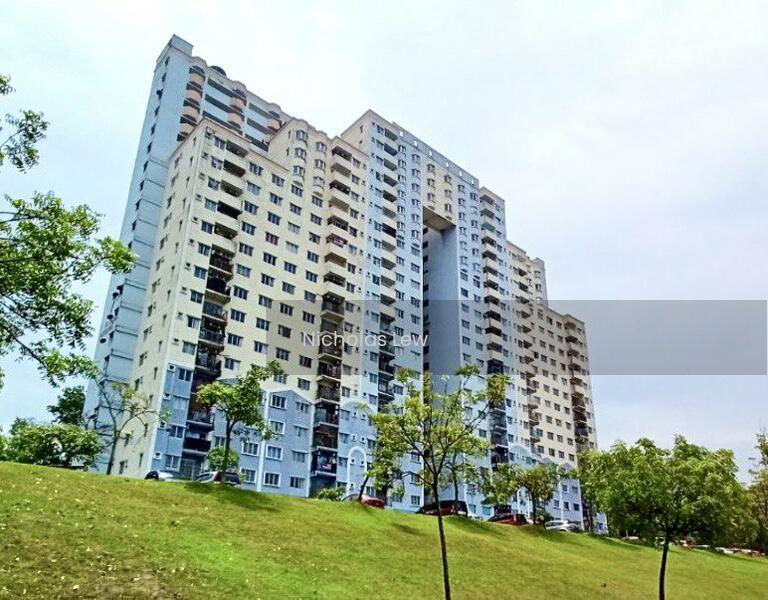 Desaminium Rimba - 1