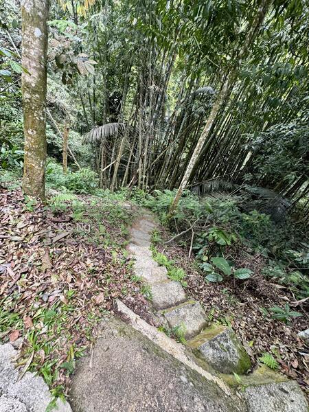 Janda Baik Bentong Pahang Bungalow Lot For Sale. - 4