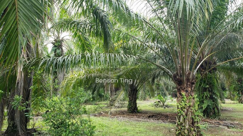 10.5 Acres Kapar Residential Land For Sale - 1