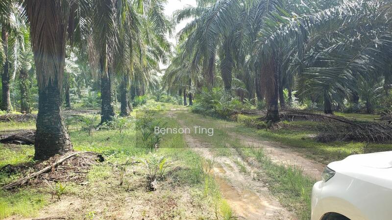 10.5 Acres Kapar Residential Land For Sale - 3