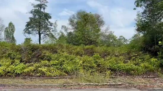 Seksyen 9 , Bandar Bukit Mahkota Bangi - 3