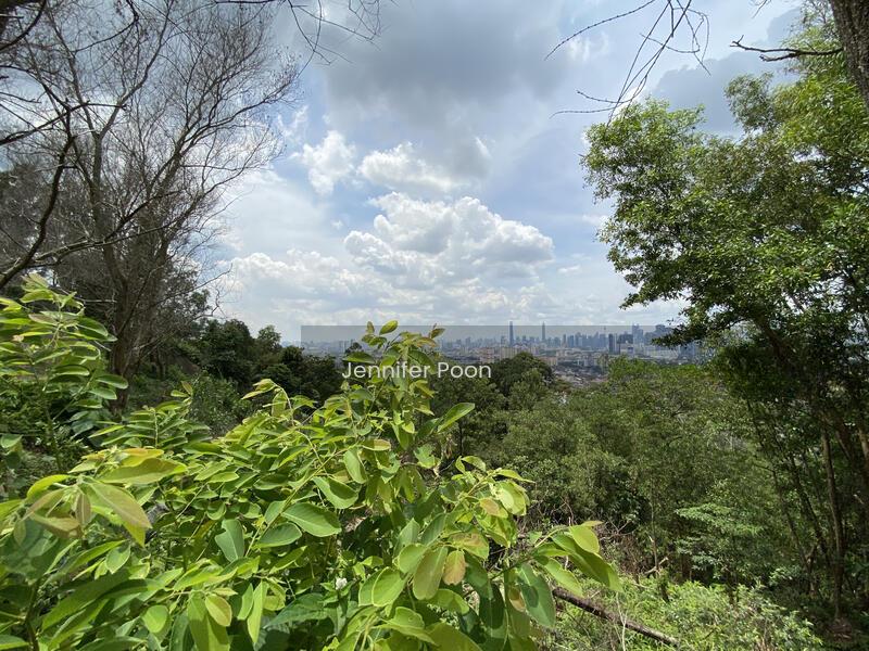 The Peak Taman TAR - 2
