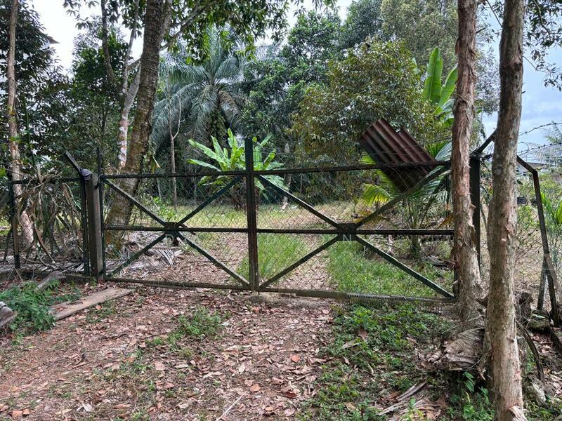 kota tinggi agriculture land swallow house - 2