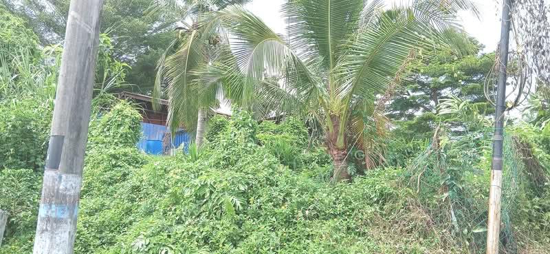 Bangi - 4